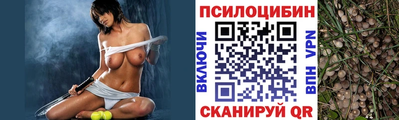 Псилоцибиновые грибы MAGIC MUSHROOMS  Верея 